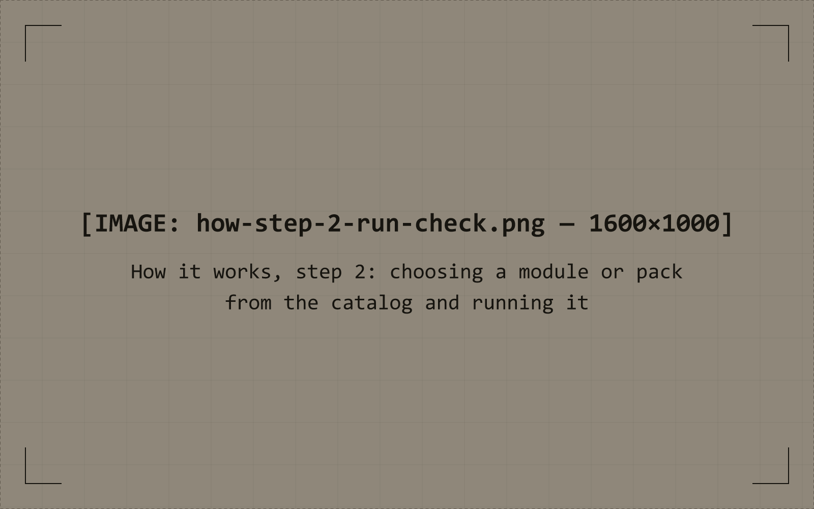 Running a module from the Muon Insight catalog