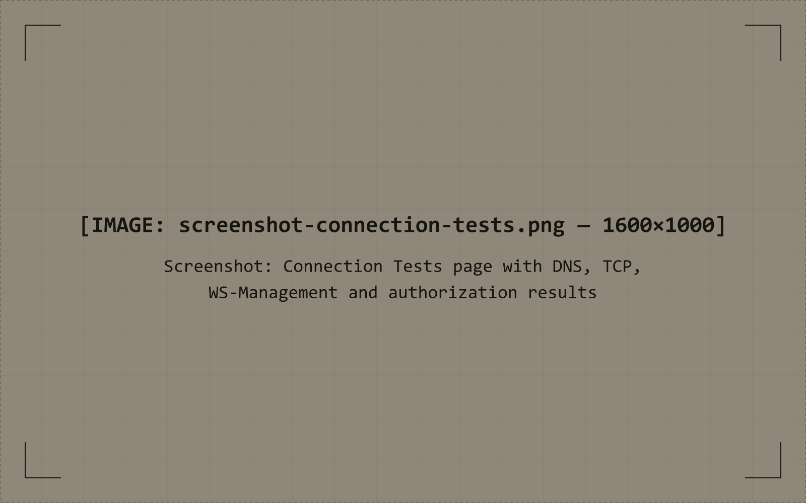 Muon Insight Connection Tests page with separate DNS, TCP, WS-Management and authorization results