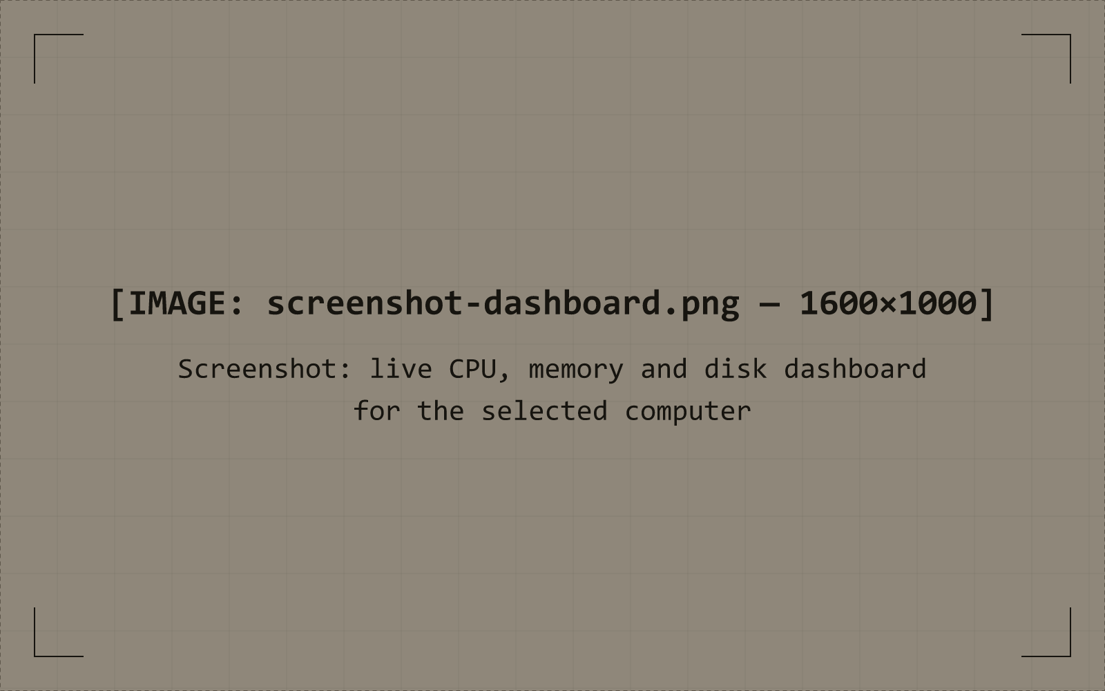 Muon Insight live dashboard with CPU, memory and disk charts